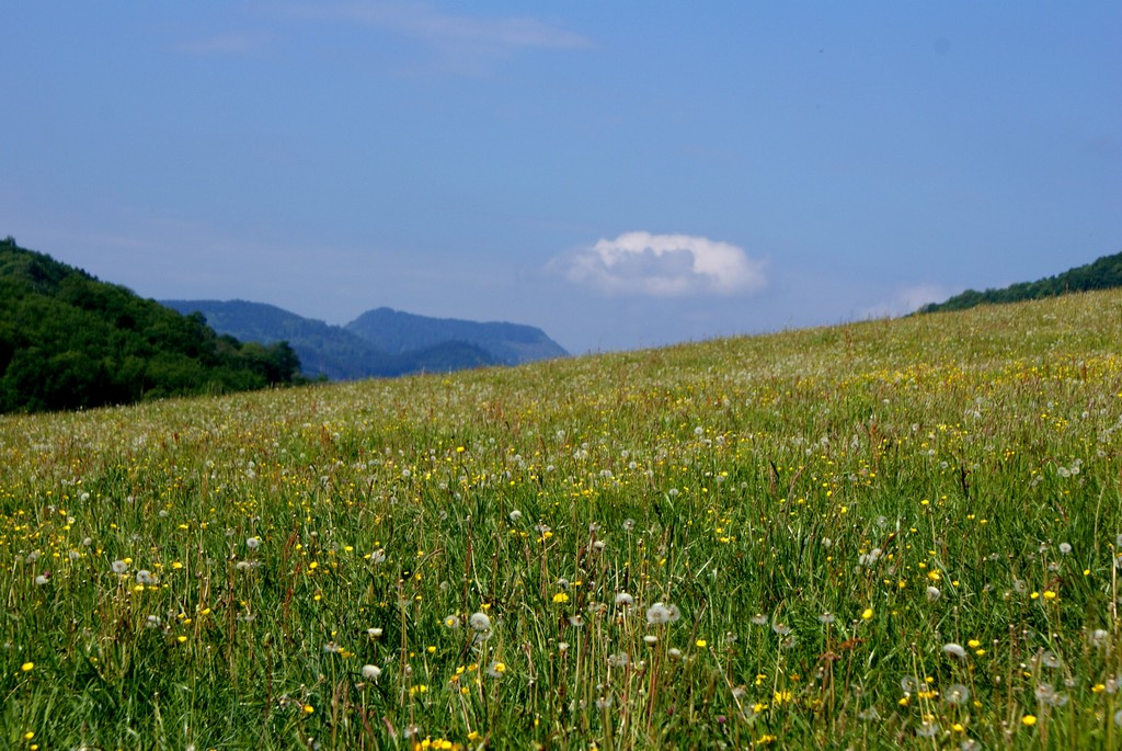 Prairie Breitenbach Prairie Breitenbach